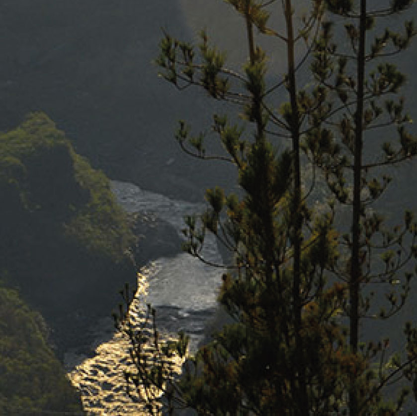 Centro Ecoturistico Alpinar en Baños de Agua Santa Ecuador